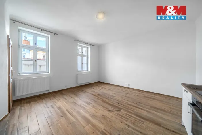 Pronájem bytu 1+kk, Plzeň - Východní Předměstí, 24 m2