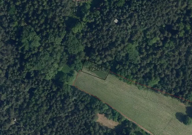 Prodej pole, Koberovy - Besedice, 757 m2