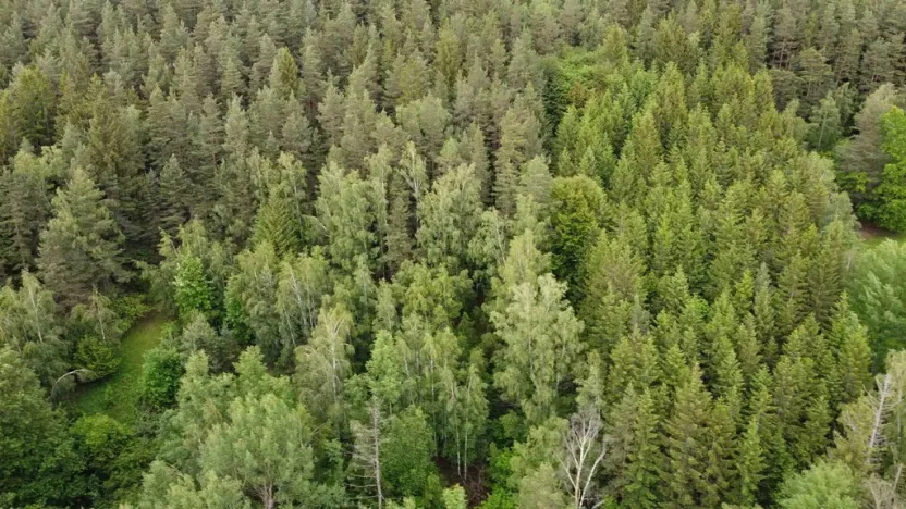 Prodej pozemku, Rejštejn, 1970 m2