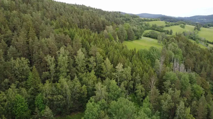 Prodej pozemku, Rejštejn, 1970 m2