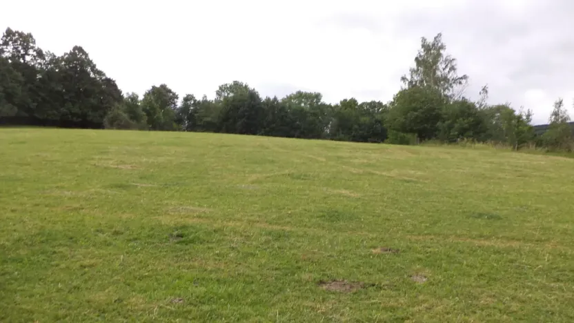 Prodej pozemku, Vlčice, 1566 m2