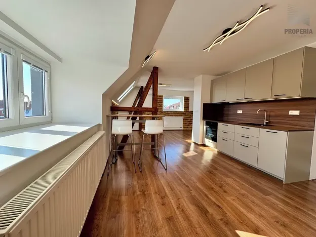 Pronájem bytu 2+kk, Brno, Mahenova, 50 m2