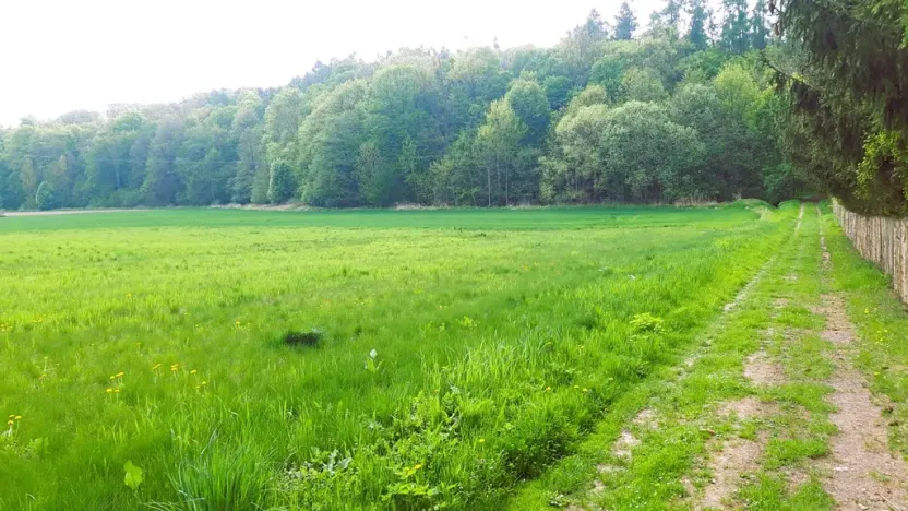 Prodej pozemku pro bydlení, Stavenice, 1905 m2