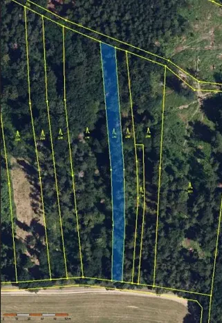 Prodej lesa, Ochoz, 1833 m2