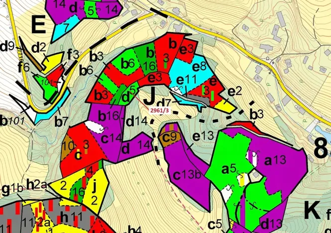 Dražba lesa, Český Dub, 1217 m2