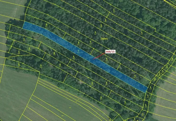 Dražba lesa, Milavče, 4689 m2