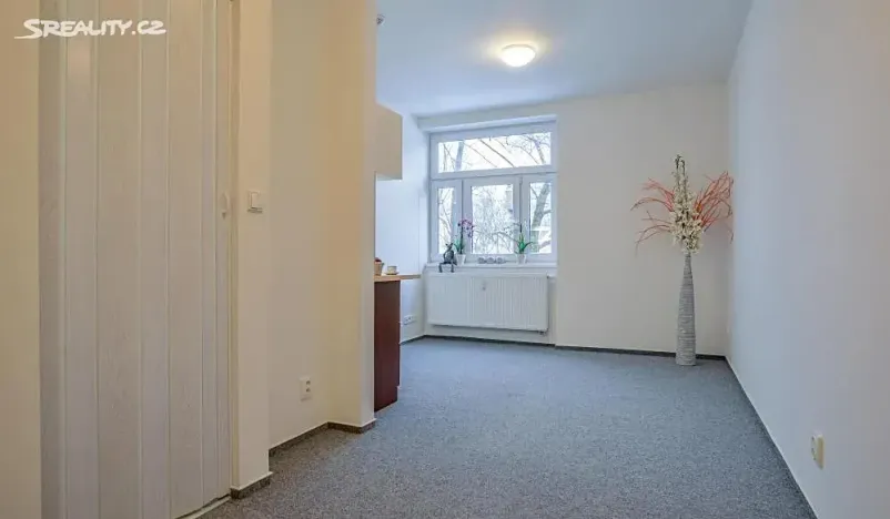 Pronájem bytu 1+kk, Praha - Hlubočepy, Na Zlíchově, 20 m2