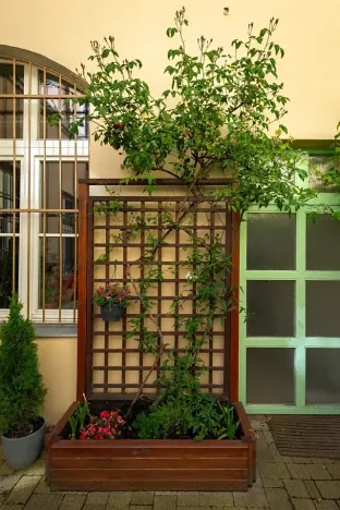 Pronájem bytu 1+kk, Praha - Žižkov, Vlkova, 25 m2