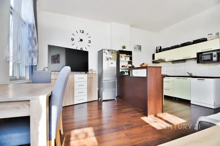 Prodej činžovního domu, Ústí nad Labem, Raisova, 416 m2