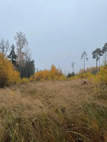 Prodej podílu lesa, Úboč, 4513 m2