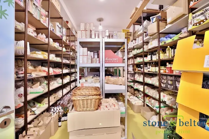 Pronájem obchodního prostoru, Praha - Troja, Lodžská, 254 m2