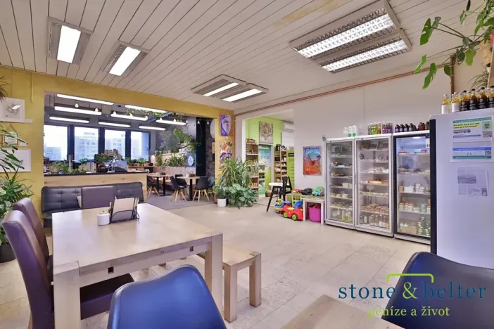 Prodej obchodního prostoru, Praha - Troja, Lodžská, 254 m2