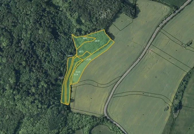 Prodej louky, Kostomlaty pod Milešovkou, 26512 m2