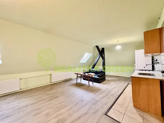 Pronájem bytu 1+kk, Veselá, 50 m2