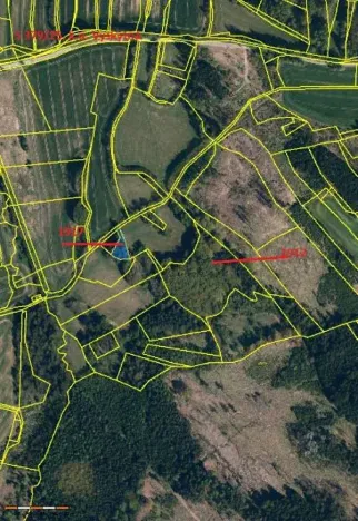 Prodej lesa, Vyskytná, 12390 m2