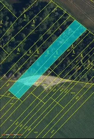 Prodej lesa, Lipník, 2058 m2