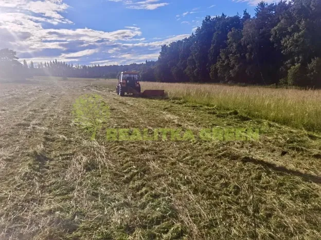 Prodej lesa, Světlá nad Sázavou, 48055 m2