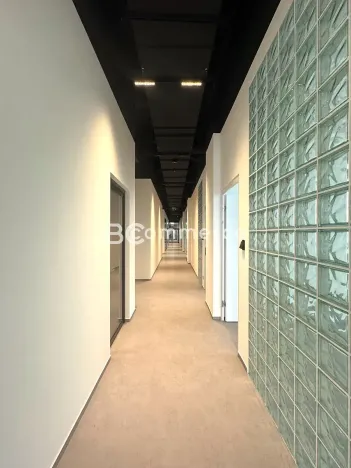 Pronájem kanceláře, Brno, Purkyňova, 25 m2