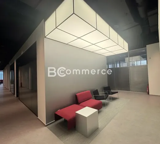 Pronájem kanceláře, Brno, Purkyňova, 50 m2