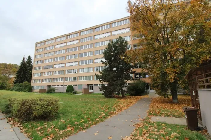 Pronájem bytu 1+kk, Praha - Karlín, Nekvasilova, 28 m2