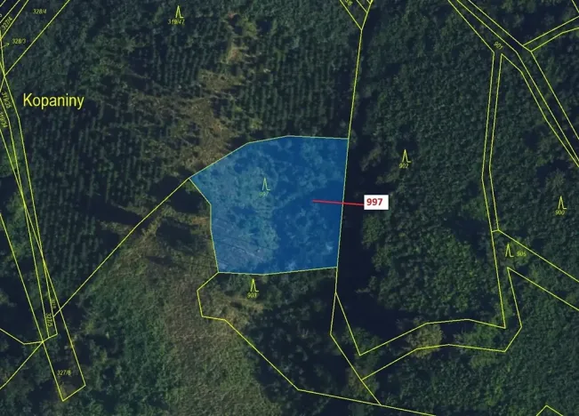 Dražba lesa, Lhota Rapotina, 1938 m2