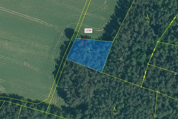 Dražba lesa, Hradiště, 1116 m2