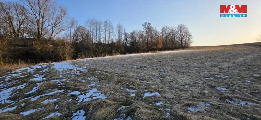 Prodej pozemku pro bydlení, Slezské Rudoltice - Koberno, 16300 m2