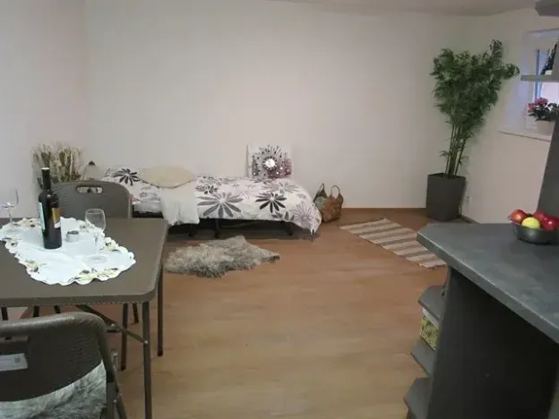 Pronájem bytu 1+kk, Jablonec nad Nisou, Janáčkova, 21 m2