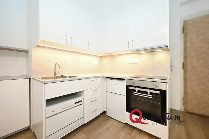 Pronájem bytu 1+1, Praha - Žižkov, Kubelíkova, 39 m2