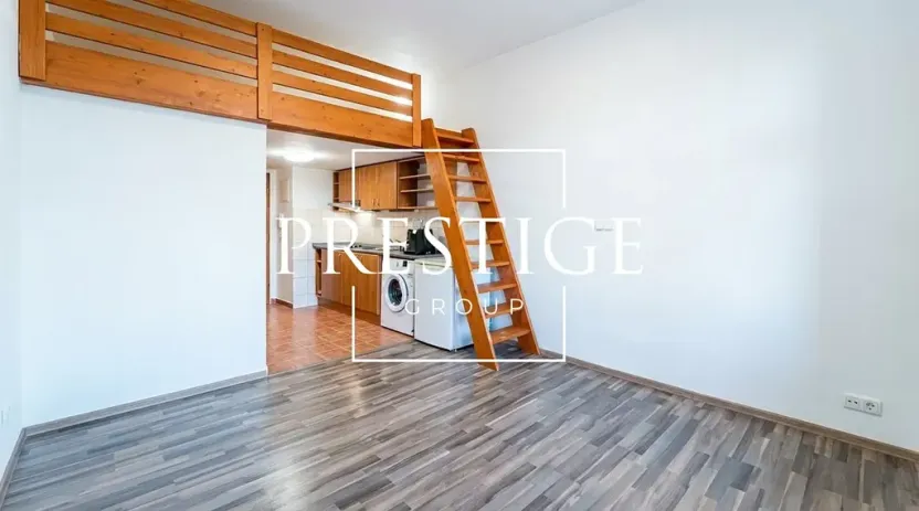 Pronájem bytu 1+kk, Praha - Vysočany, Freyova, 20 m2