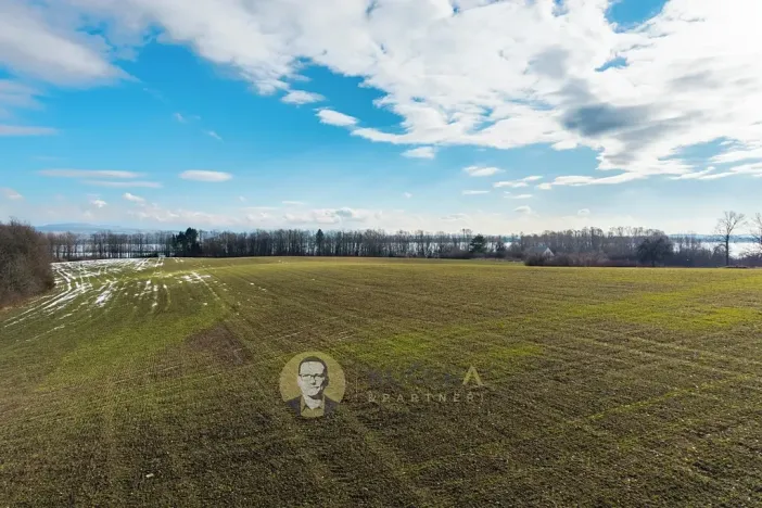 Prodej pozemku pro bydlení, Česká Skalice, 30928 m2