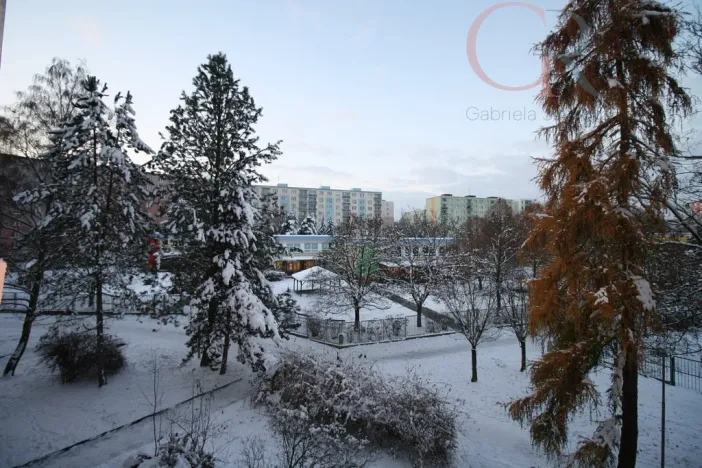 Pronájem bytu 2+1, Plzeň - Severní Předměstí, Elišky Krásnohorské, 65 m2