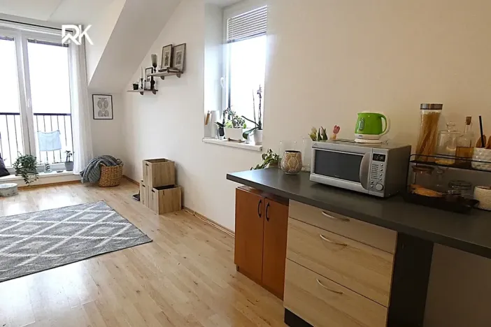 Pronájem bytu 1+kk, Škvorec, 30 m2