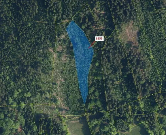 Dražba lesa, Velké Hamry, 6125 m2