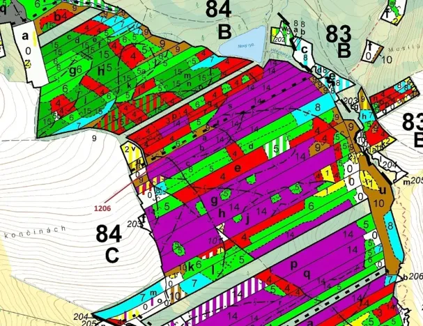 Dražba lesa, Chrbonín, 10189 m2