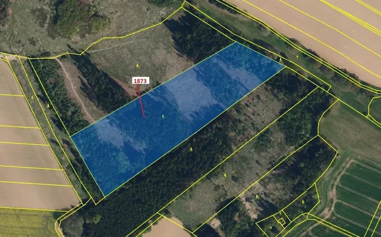 Dražba lesa, Obrataň, 32740 m2