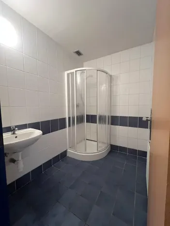 Pronájem obchodního prostoru, Český Těšín, Frýdecká, 160 m2