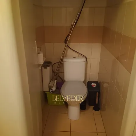 Pronájem bytu 1+1, Teplice, Americká, 38 m2