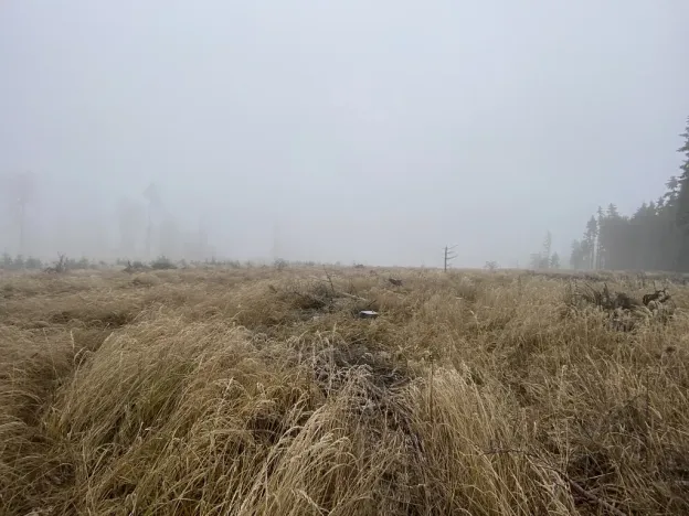 Prodej lesa, Městečko Trnávka - Lázy, 32904 m2