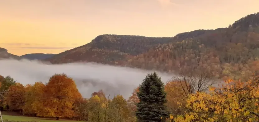 Pronájem bytu 1+1, Děčín, Žlebská, 50 m2