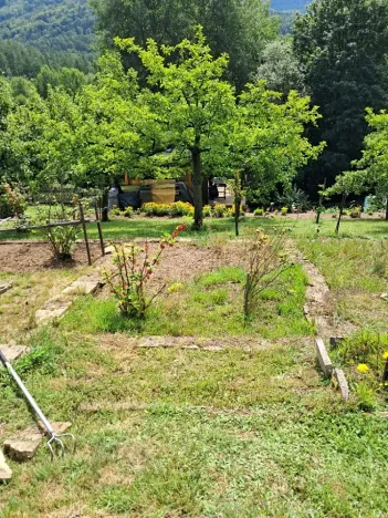 Prodej zahrady, Desná, Sokolská, 775 m2