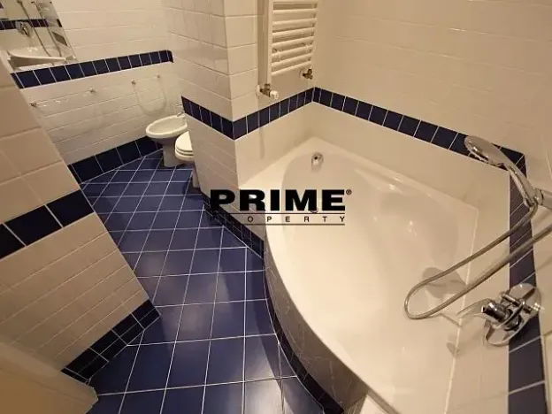 Pronájem bytu 2+1, Praha - Vinohrady, Anny Letenské, 54 m2