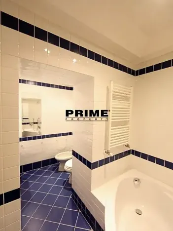 Pronájem bytu 2+1, Praha - Vinohrady, Anny Letenské, 54 m2