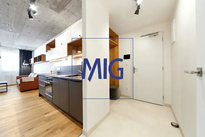 Pronájem bytu 2+kk, Brno, Cejl, 48 m2