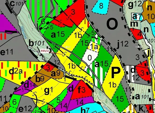 Dražba lesa, Jílové u Držkova, 1684 m2