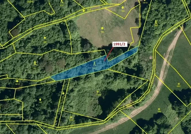 Dražba lesa, Hovězí, 933 m2