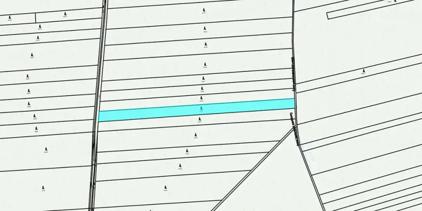 Dražba lesa, Hranice, 4805 m2