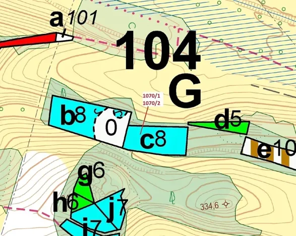 Dražba lesa, Kněžnice, 2271 m2