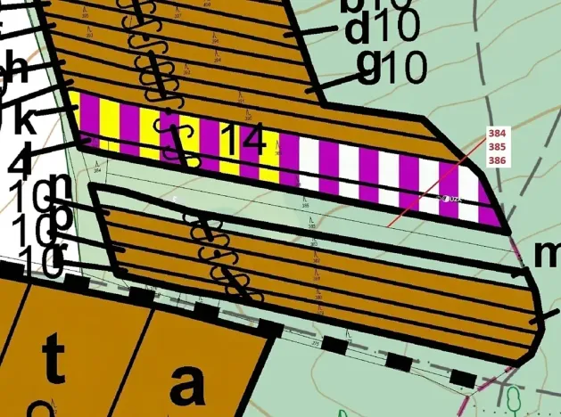 Dražba lesa, Hradčany-Kobeřice, 3483 m2