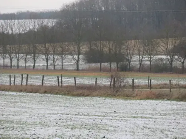 Dražba louky, Chotěšice, 11382 m2